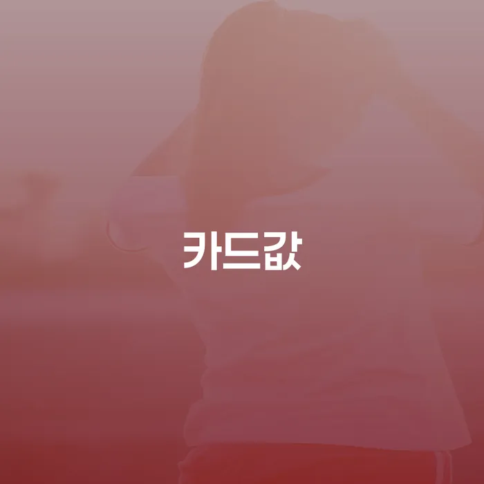 화천군 보험설계사개인회생 신용회복 적정한